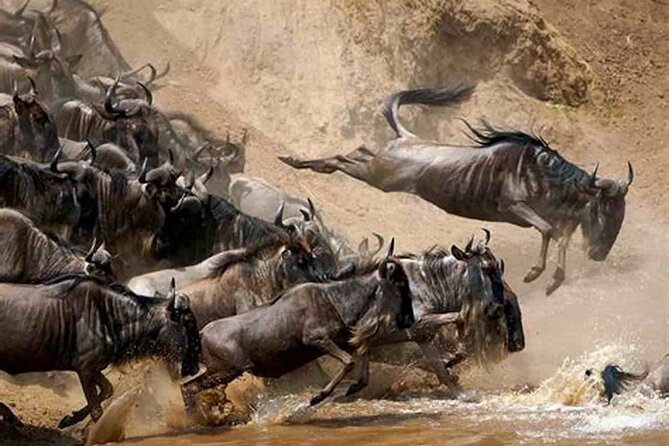9 Days Migration Safari Tanzania Budget - Booking & Payment Details