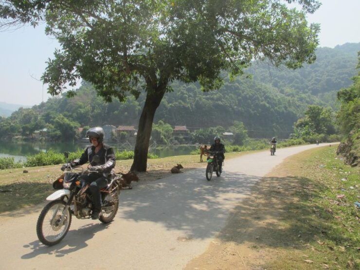 9 Days Northern Vietnam Highlights Guided Motorcycle Tour - Tour Overview and Booking Details