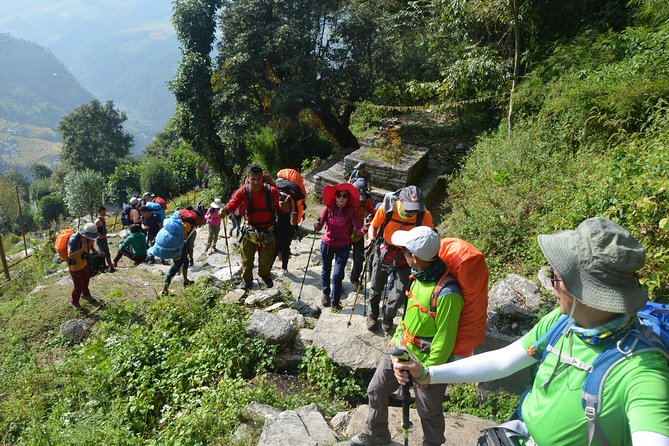 9 Days Poon Hill Trek - Accommodation Options