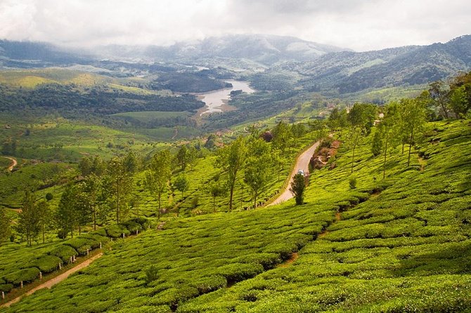 9 Days Private Exotic Kerala Tour - Pricing Details