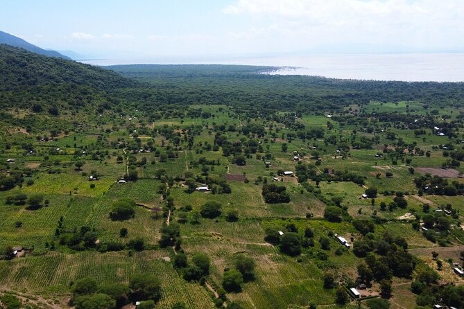 9 Days Private Guided Classic Game Drive in Tanzania - Accommodations & Meals