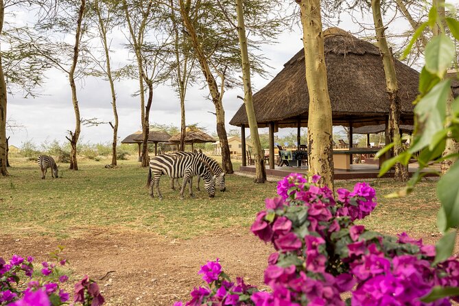 9 Days Private Guided Classic Game Drive in Tanzania - Wildlife Encounters