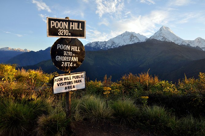 9 Days Short and Easy Ghorepani Poonhill Trekking in Nepal - Meeting and Pickup