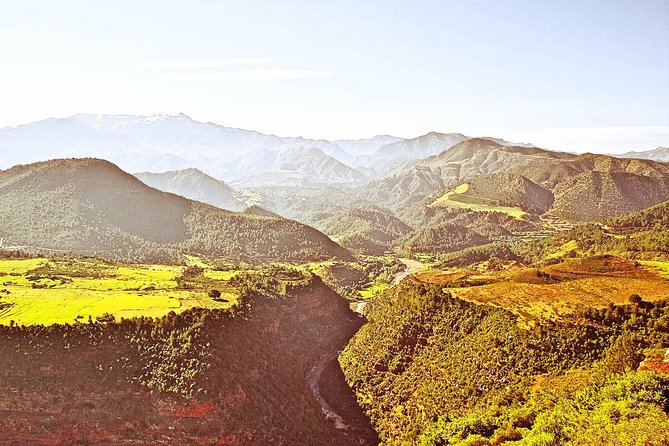 9 Days Southern Oasis, Kasbahs & Desert Morocco Cultural Tour From Marrakech - Accommodations and Meals