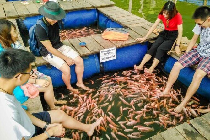 9 Days Sri Lanka Southern Tour. Driver, Vehicle B/B Accomodations - Final Thoughts