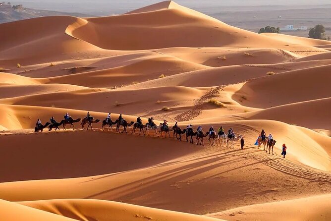 9 Days Tour From Casablanca to the Desert via Chefchauen , Fez - Day 6: Taking in the Merzouga Desert
