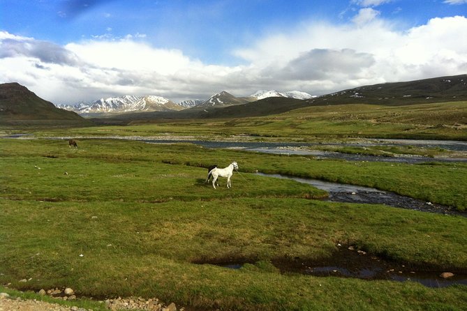 9 Days Tour to Skardu, Deosai, Rama Meadows From May to October - Good To Know