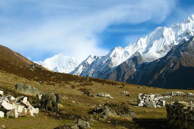 9 Days West Langtang Valley Tamang Heritage Trek - Trek Highlights