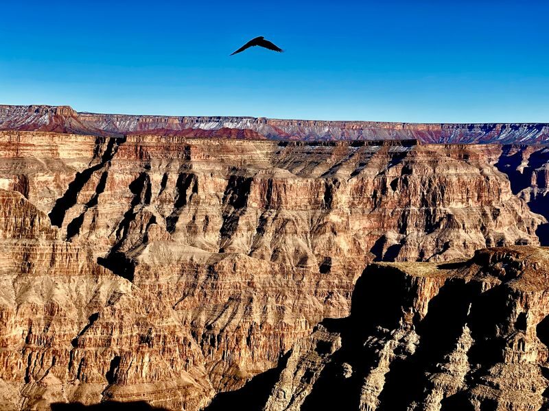 9-Hour Grand Canyon West Day Tour - Choosing a package and judging the price