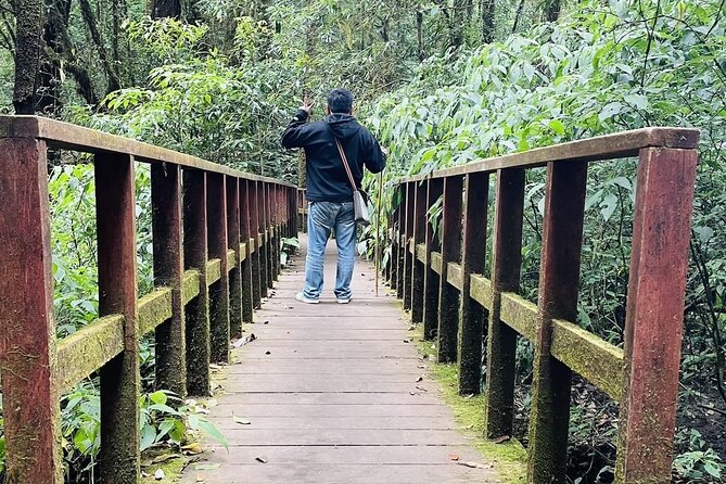 9 Hours Nature Tour in Inthanon National Park From Chiang Mai - Tour Highlights