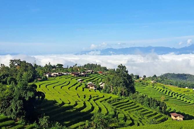 9 Hours Nature Tour in Inthanon National Park From Chiang Mai - Important Information