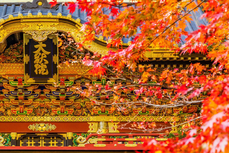 9-person small group Nikko Toshogu Shrine & Irohazaka & Lake Chuzenji One-Day Tour (Hotel pickup and drop-off available) - At a glance: Nikko in one long day