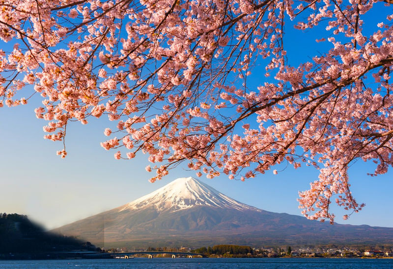 9-person small group tour | Six major photo spots at Mount Fuji | Arakurayama Sengen Park & Hinokawacho Clock Shop & Internet-famous Lawson & Oshino Hakkai & Lake Kawaguchiko & Lake Yamanakako | Departing from Tokyo - A long day built around Mount Fuji