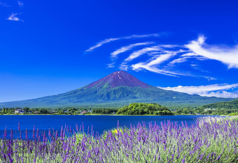 9-person small group tour | Six major photo spots at Mount Fuji | Arakurayama Sengen Park & Hinokawacho Clock Shop & Internet-famous Lawson & Oshino Hakkai & Lake Kawaguchiko & Lake Yamanakako | Departing from Tokyo - Fujiyoshida’s old street and Arakurayama’s famous view