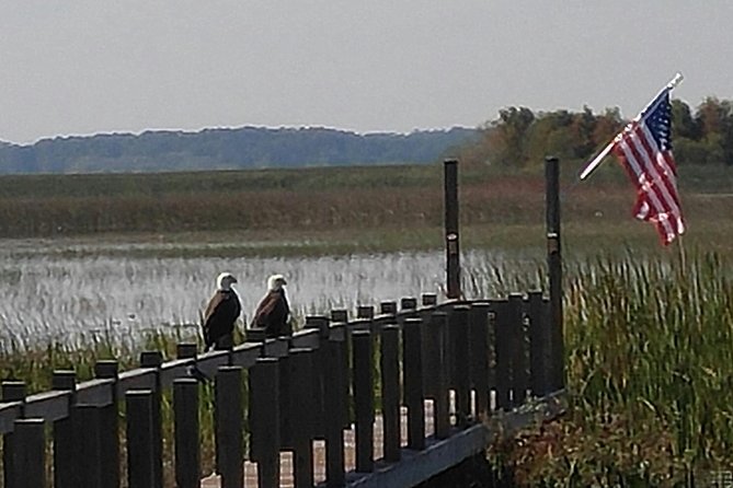 90-min Everglades Airboat Tour in Central Florida - Tour Duration