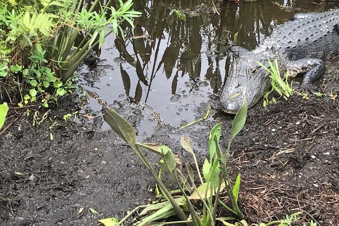 90-min Everglades Airboat Tour in Central Florida - Cancellation Policy
