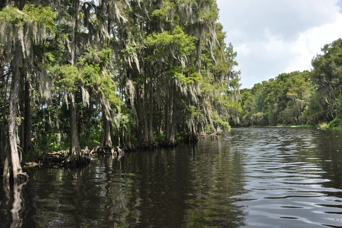 90-min Everglades Airboat Tour in Central Florida - Traveler Reviews