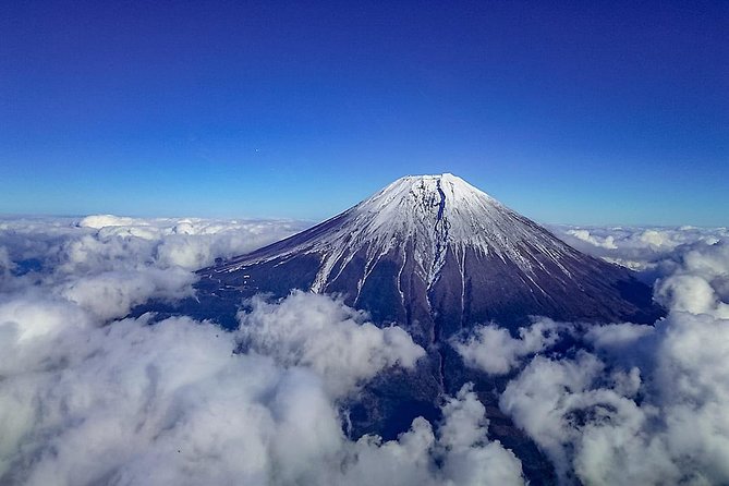 [90 Min] Tokaido Tour: Tokyo to Mt. Fuji Helicopter Tour - Experience Highlights