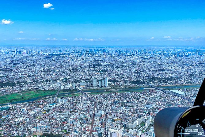 [90 Min] Tokaido Tour: Tokyo to Mt. Fuji Helicopter Tour - The Sum Up