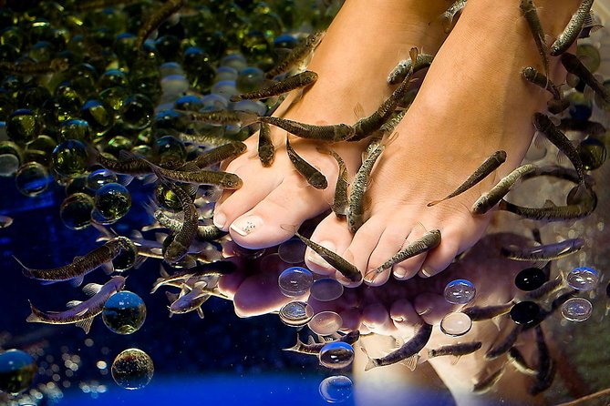 90-Minute Aroma Oil Massage Plus 20 Min Free Fish Pedi - Overview and Experience