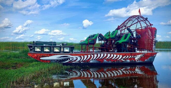 90 Minute Backwater Eco & History Tour - Ecosystem Description