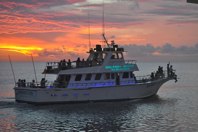 90-Minute Dolphin Watch Tour of South Padre Island - Tour Experience