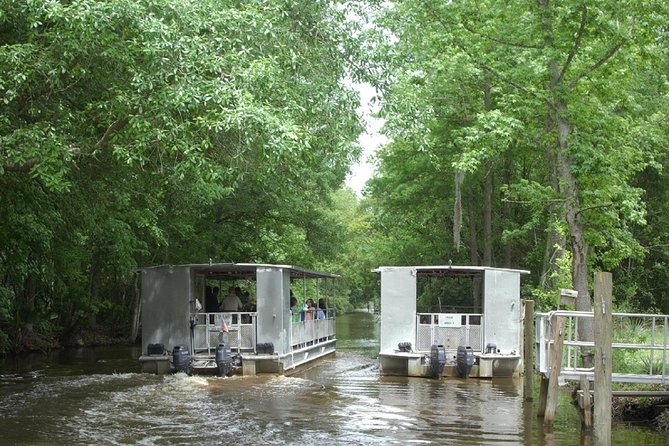 90-Minute Jean Lafitte Swamp and Bayou Tour - Comfortable Pontoon Boat Experience