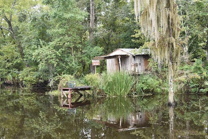 90-Minute Jean Lafitte Swamp and Bayou Tour - Tour Logistics and Additional Information