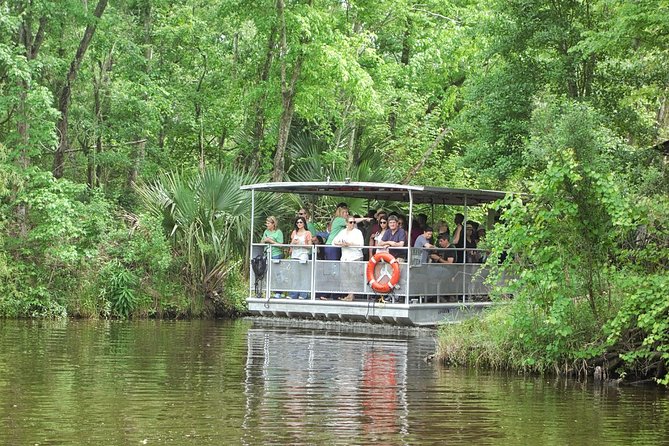 90-Minute Jean Lafitte Swamp and Bayou Tour With Transportation - Good To Know