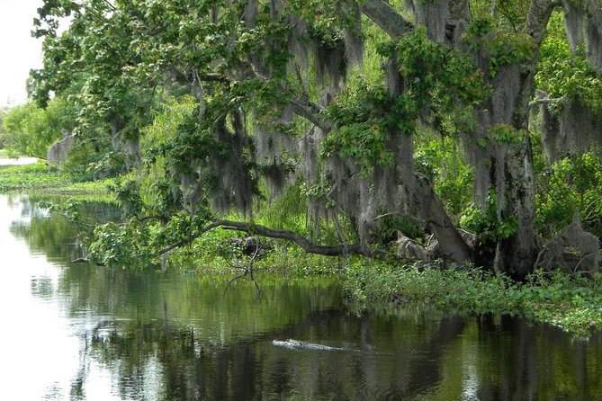 90-Minute Jean Lafitte Swamp and Bayou Tour With Transportation - Directions and Meeting Point