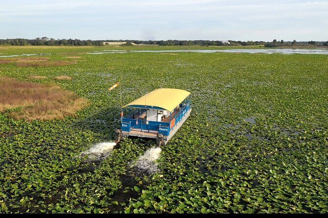 90 Minute Pontoon Cruise in Florida - Good To Know