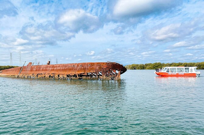 90 Minute Port River Dolphin & Ships Graveyard Cruise - Cruise Overview