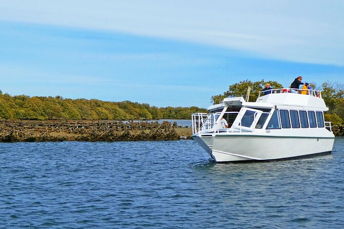 90 Minute Port River Dolphin & Ships Graveyard Cruise - Common Questions