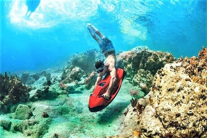 90-Minute Snorkel & Seabob Underwater Guided Reef Tour in Fort Lauderdale - Gear Fitting and Training Session