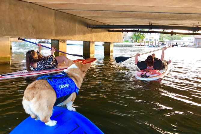 90-Minute SUP Tour of Las Olas Canals With a Doggy Guide  - Fort Lauderdale - Common Questions