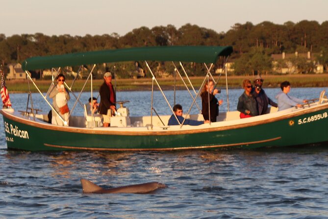 90 Minute Tour to See Dolphins in Hilton Head Island - Common Questions