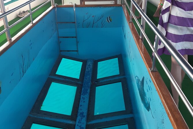 90-Minutes Glass Bottom Trip With Quick Dip - Meeting Point and Schedule