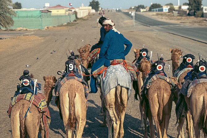 90 Minutes Guided Cultural Camel Riding in Dubai - Questions and Special Offer