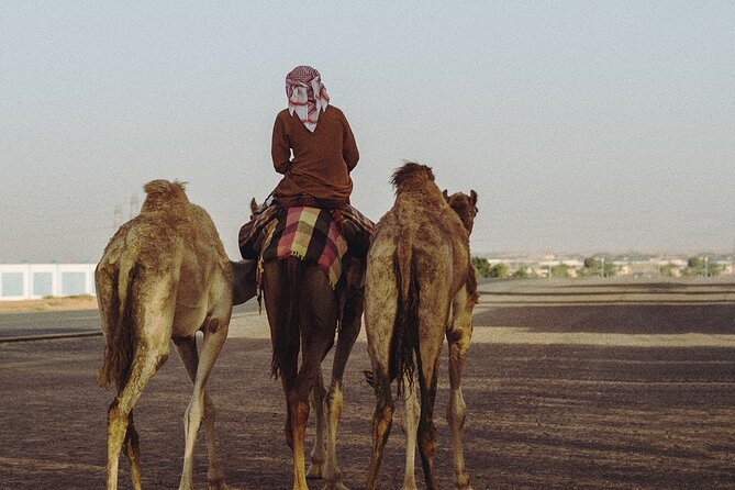 90 Minutes Guided Cultural Camel Riding in Dubai - The Sum Up