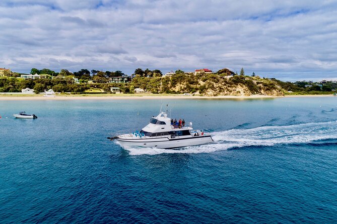 90minute Dolphin, Seal and Scenic Wildlife Cruise - Cancellation Policy