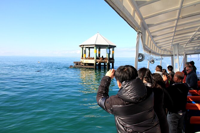 90minute Dolphin, Seal and Scenic Wildlife Cruise - Additional Information