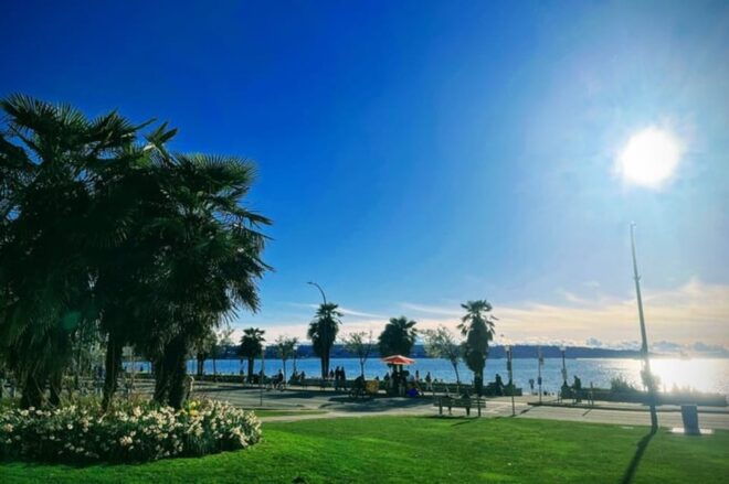  Vancouver 2 Hours City Tour Private - Included in the Tour