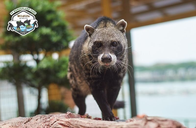 99 Wonderland Park Admission Ticket at Selayang, Selangor - A wildlife park with an evening-show streak