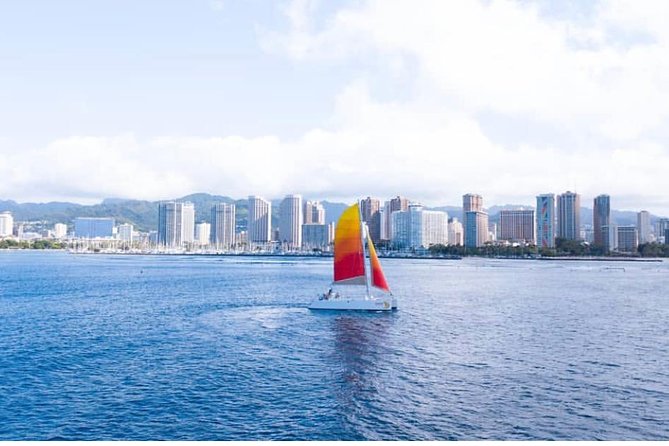 9am Turtle Canyon Snorkel Adventure - What To Expect