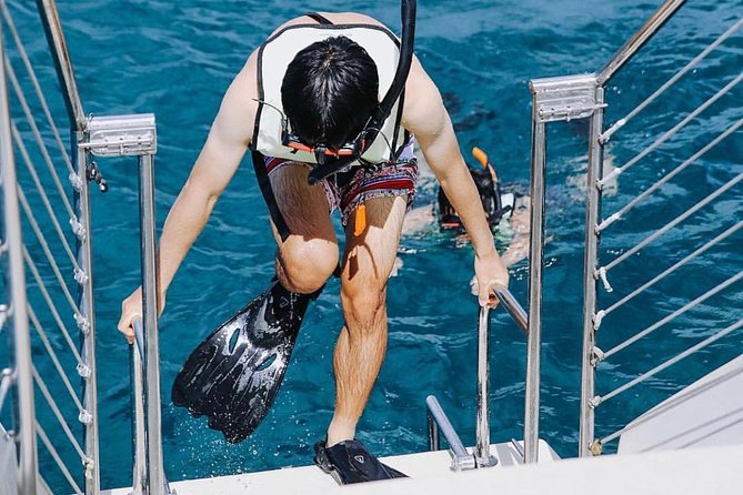 9am Turtle Canyon Snorkel Adventure - Crew and Staff