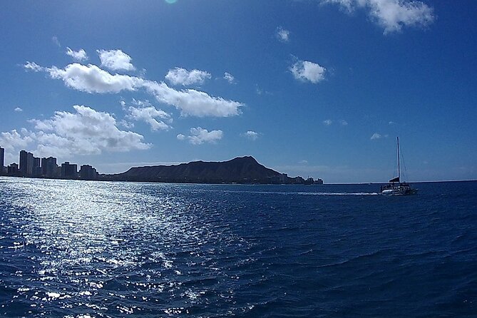 9am Turtle Canyon Snorkel Adventure - Snorkel Equipment Included