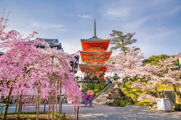 9D Splendid Japan Deluxe-Private 4 Star Hotels by Stunning Tours - Kyoto’s famous sights in a half day