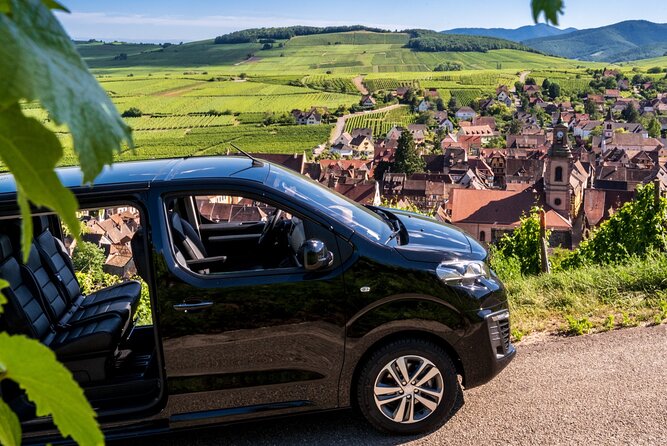 Private Minivan Transfer From Strasbourg Area to Frankfort Airport - Common Questions