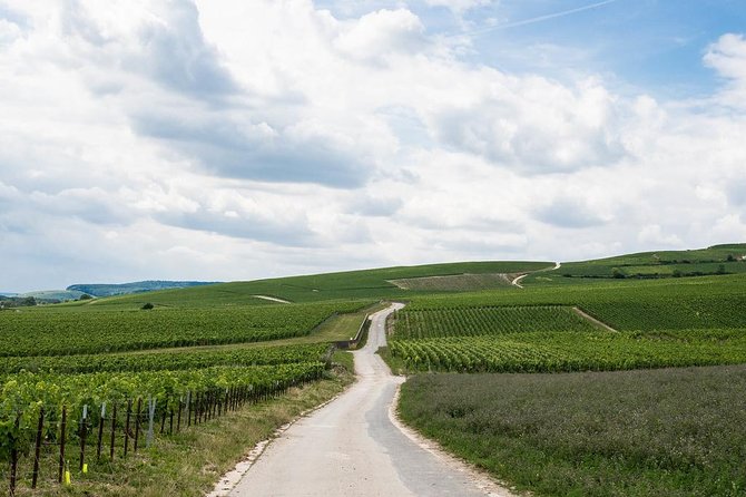 Private Champagne Tour and Reims From Paris With Hotel Pick up - Common Questions