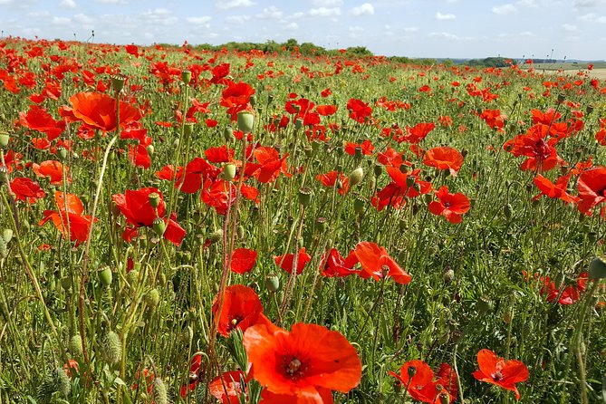 3 Day Tour Canadians in WW1 Starting From Lille or Ypres - Departure Options